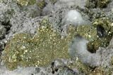 Chalcopyrite and Pyrite Crystal on Calcite - Morocco #137144-1